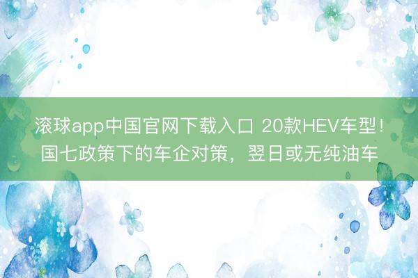 滚球app中国官网下载入口 20款HEV车型！国七政策下的车企对策，翌日或无纯油车
