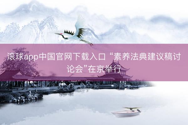 滚球app中国官网下载入口 “素养法典建议稿讨论会”在京举行
