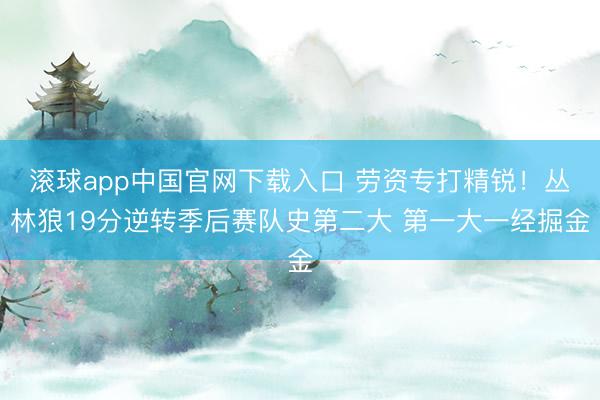 滚球app中国官网下载入口 劳资专打精锐！丛林狼19分逆转季后赛队史第二大 第一大一经掘金