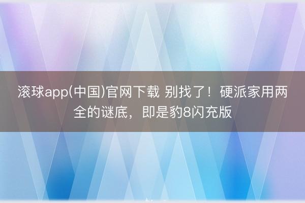 滚球app(中国)官网下载 别找了！硬派家用两全的谜底，即是豹8闪充版