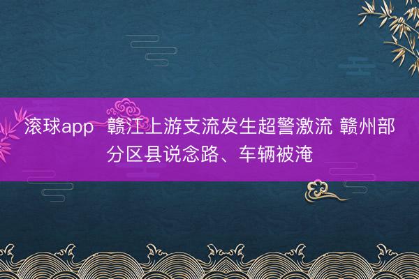 滚球app  赣江上游支流发生超警激流 赣州部分区县说念路、车辆被淹