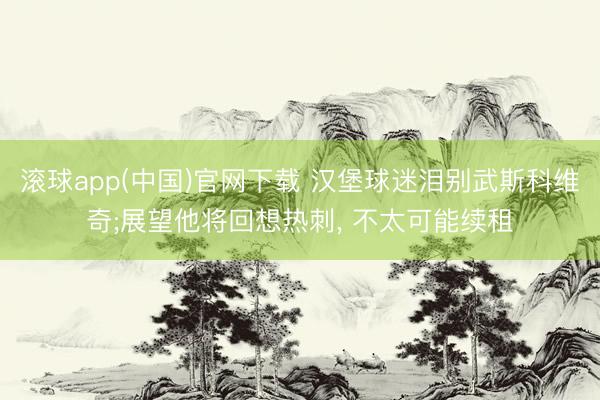 滚球app(中国)官网下载 汉堡球迷泪别武斯科维奇;展望他将回想热刺， 不太可能续租
