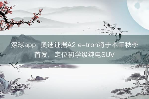 滚球app  奥迪证据A2 e-tron将于本年秋季首发，定位初学级纯电SUV