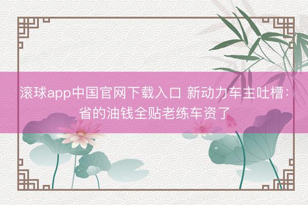 滚球app中国官网下载入口 新动力车主吐槽:省的油钱全贴老练车资了