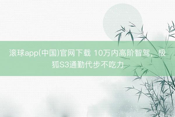 滚球app(中国)官网下载 10万内高阶智驾，极狐S3通勤代步不吃力