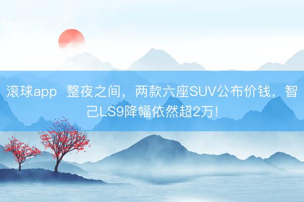 滚球app  整夜之间，两款六座SUV公布价钱，智己LS9降幅依然超2万!