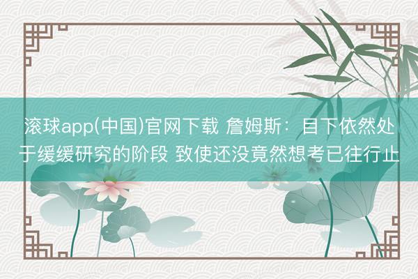 滚球app(中国)官网下载 詹姆斯：目下依然处于缓缓研究的阶段 致使还没竟然想考已往行止