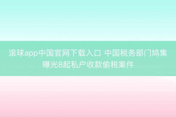 滚球app中国官网下载入口 中国税务部门鸠集曝光8起私户收款偷税案件