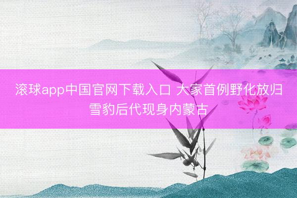 滚球app中国官网下载入口 大家首例野化放归雪豹后代现身内蒙古