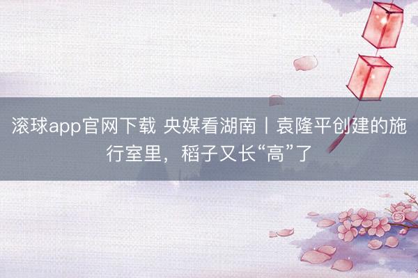 滚球app官网下载 央媒看湖南丨袁隆平创建的施行室里，稻子又长“高”了