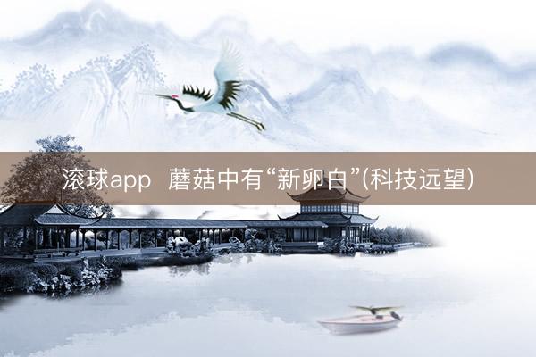 滚球app  蘑菇中有“新卵白”(科技远望)