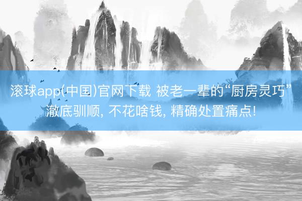 滚球app(中国)官网下载 被老一辈的“厨房灵巧”澈底驯顺， 不花啥钱， 精确处置痛点!