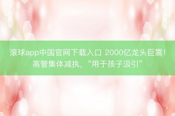 滚球app中国官网下载入口 2000亿龙头巨震！高管集体减执，“用于孩子汲引”