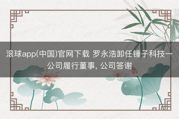 滚球app(中国)官网下载 罗永浩卸任锤子科技一公司履行董事， 公司答谢
