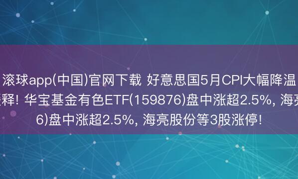 滚球app(中国)官网下载 好意思国5月CPI大幅降温， 通胀压力显贵缓释! 华宝基金有色ETF(159876)盘中涨超2.5%， 海亮股份等3股涨停!