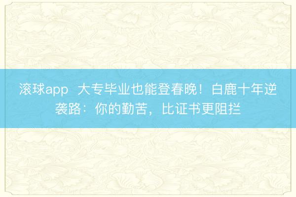 滚球app  大专毕业也能登春晚！白鹿十年逆袭路：你的勤苦，比证书更阻拦