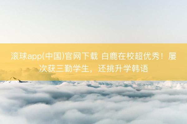 滚球app(中国)官网下载 白鹿在校超优秀！屡次获三勤学生，还挑升学韩语