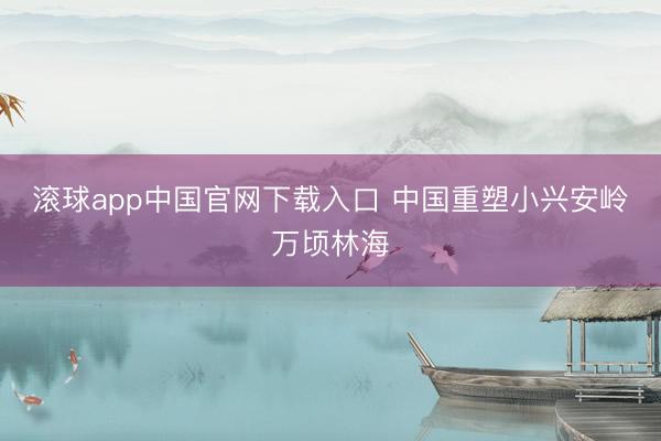 滚球app中国官网下载入口 中国重塑小兴安岭万顷林海