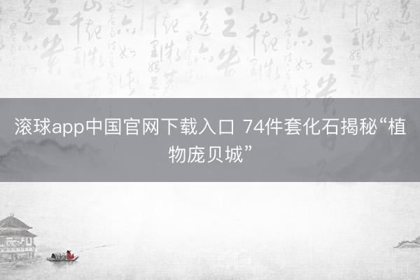 滚球app中国官网下载入口 74件套化石揭秘“植物庞贝城”