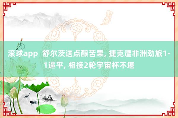 滚球app  舒尔茨送点酿苦果， 捷克遭非洲劲旅1-1逼平， 相接2轮宇宙杯不堪