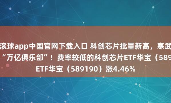 滚球app中国官网下载入口 科创芯片批量新高,寒武纪猛攻14%剑指“万亿俱乐部”!费率较低的科创芯片ETF华宝(589190)涨4.46%