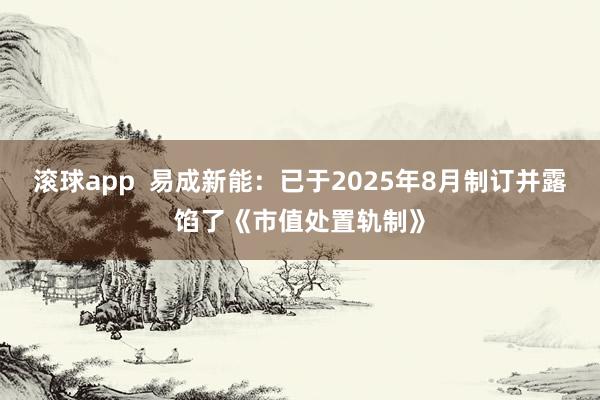 滚球app  易成新能：已于2025年8月制订并露馅了《市值处置轨制》